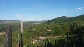 Pogled iz zidanice, Društvo vinogradnikov Lubanec